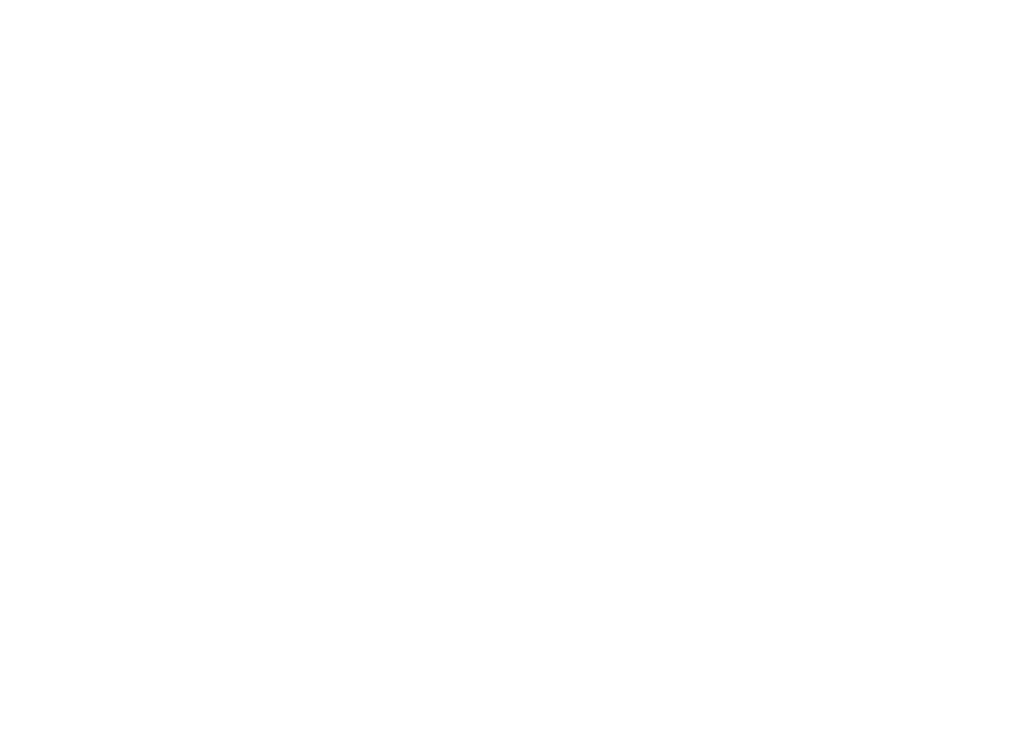 Main Logo